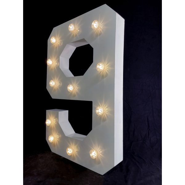 LED Light Up Number 9