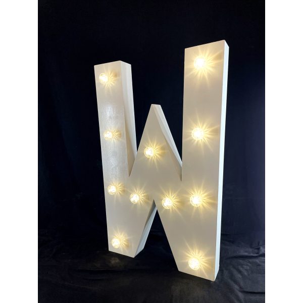 LED Light Up Letter W