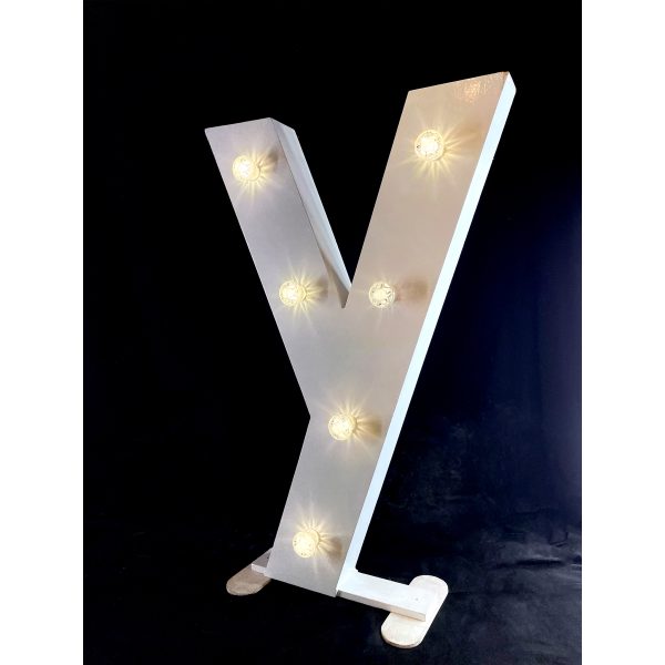 LED Light Up Letter Y