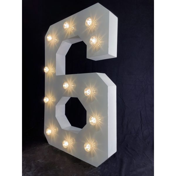 LED Light Up Number 6