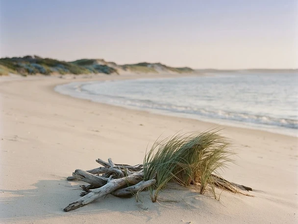 A quiet Edgartown beach at golden hour