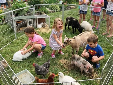 Petting Zoos