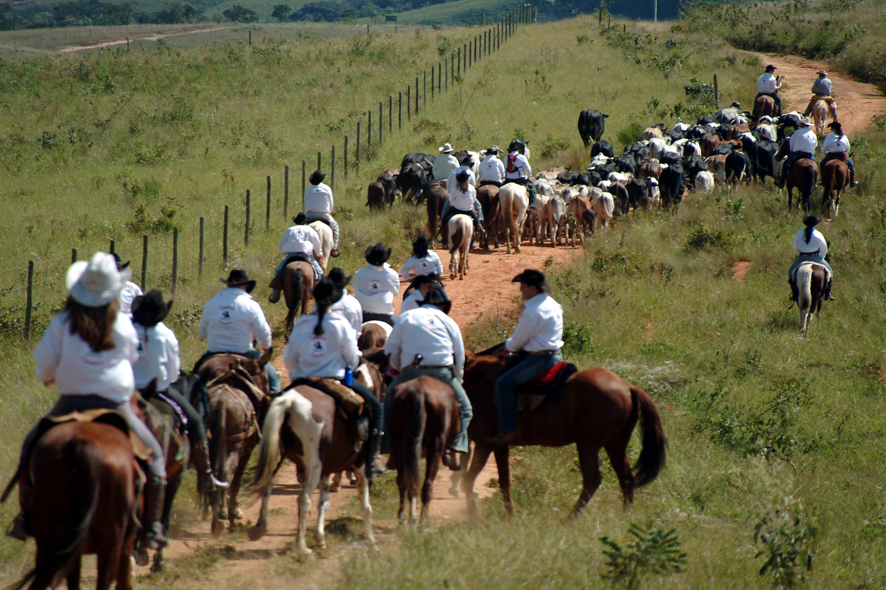 Participante com cavalo