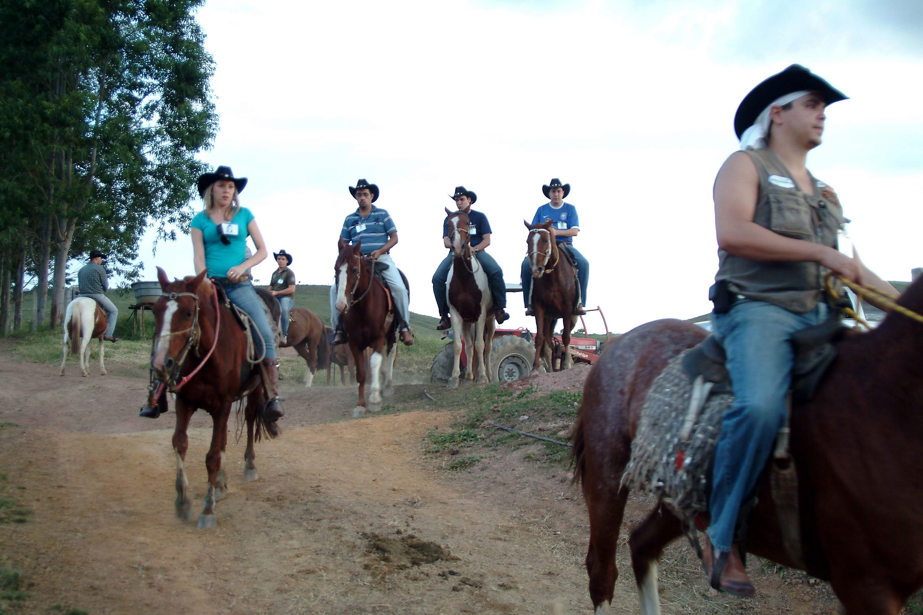 Equipe de Animais