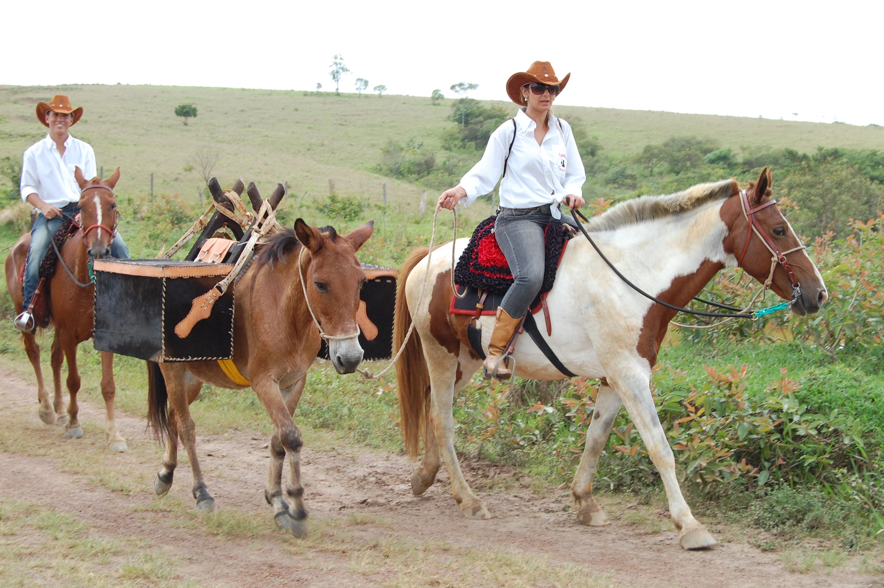 Cavaleiros na Serra da Canastra