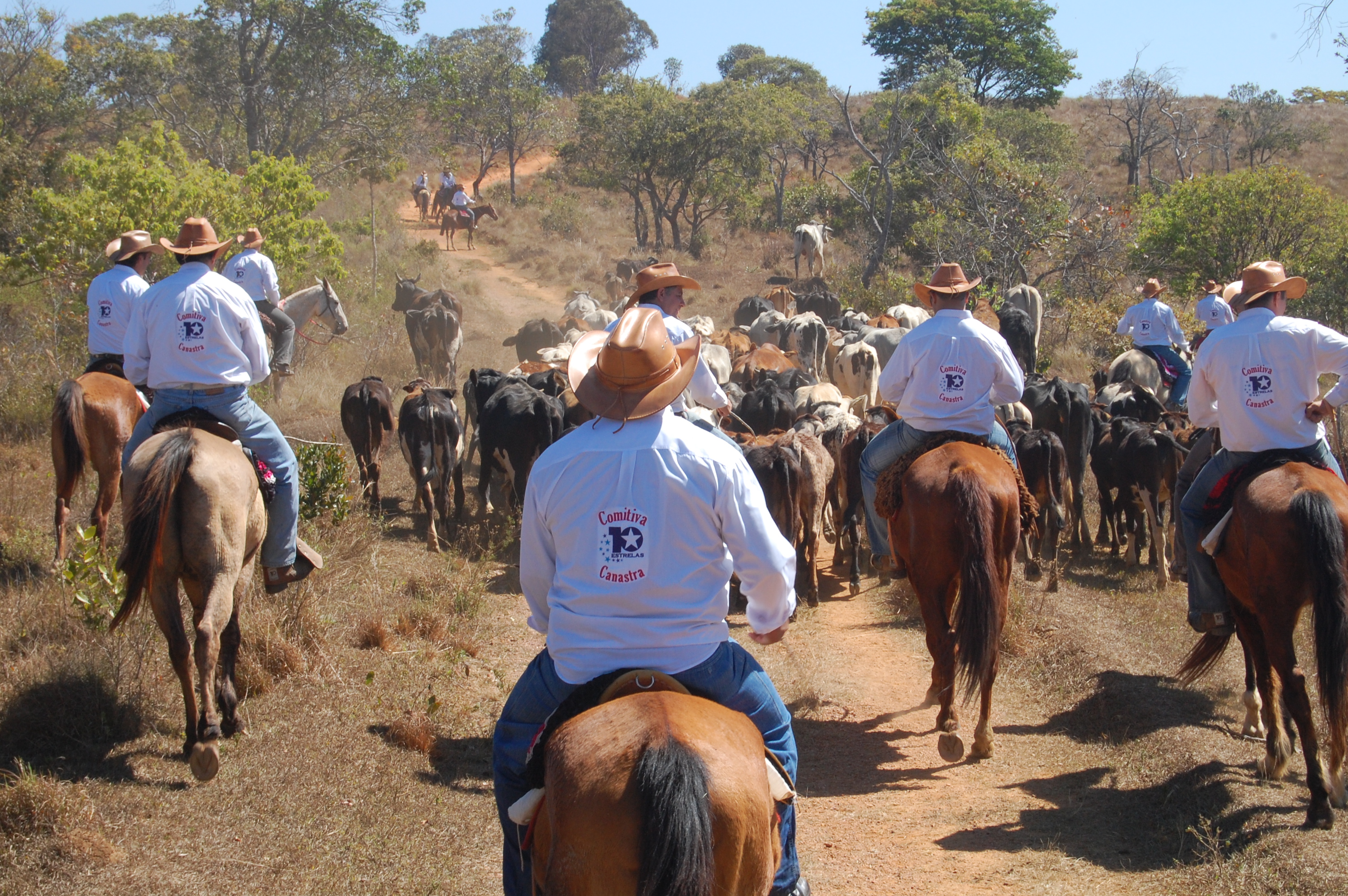 Serra da Canastra