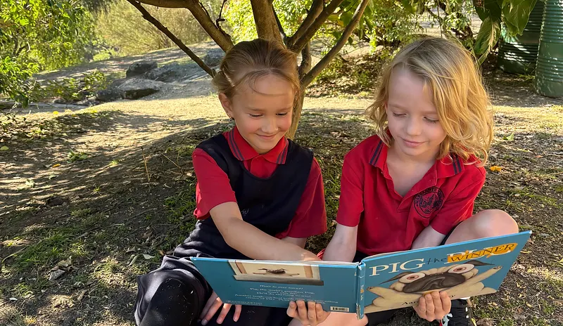 Two students reading a book together under a tree