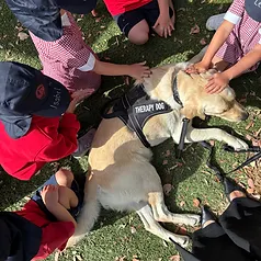 Winston the therapy dog surrounded by students on the lawn