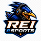 REI Esports