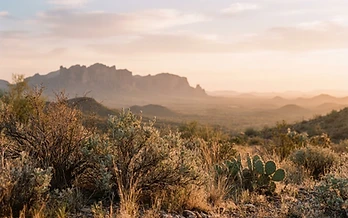 Legal Decision-Making vs. Parenting Time: What Arizona Parents Need to Know