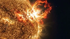 Solar Particle Events and Their Impact on Earth