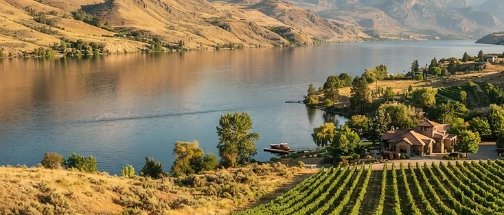 A view of a sunny lakeside valley with vineyards and dry hills in the Okanagan region of British Columbia, where Coldstream is located.
