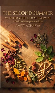 The Second Summer — front cover