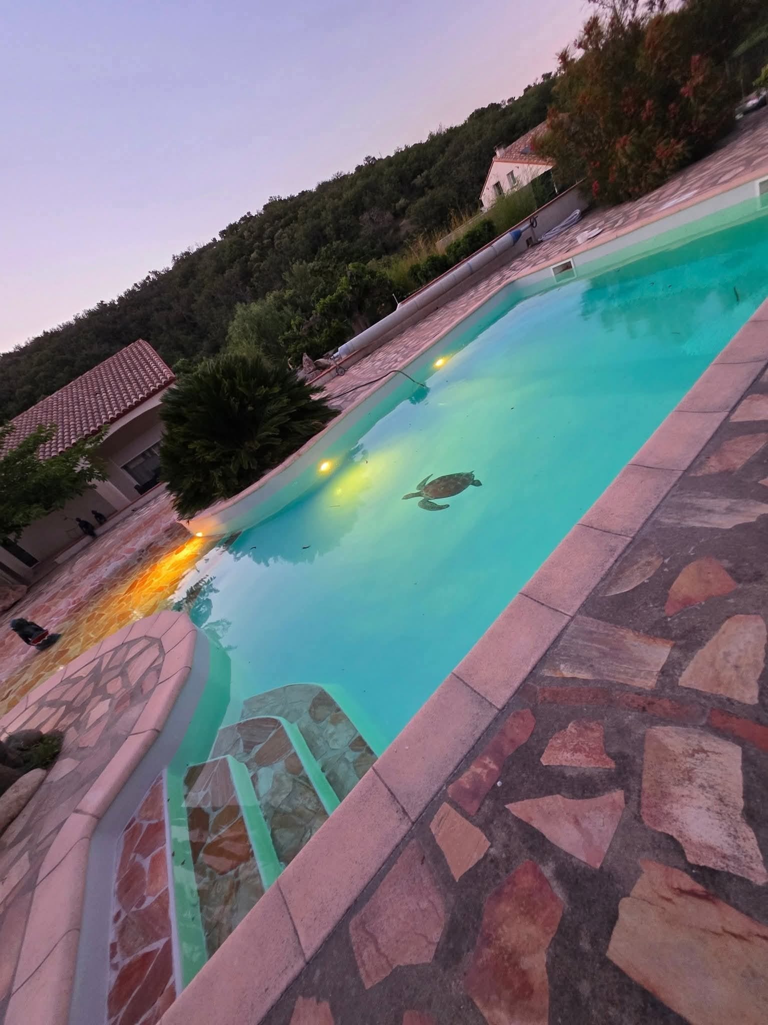 Réalisation piscine Atout Pro Polyester 1