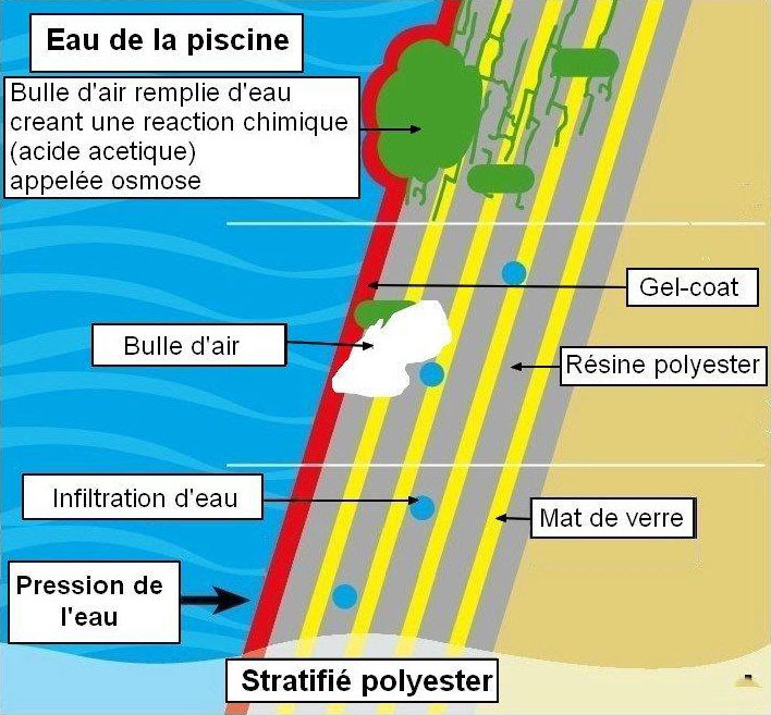 Schéma explicatif du processus d'osmose piscine