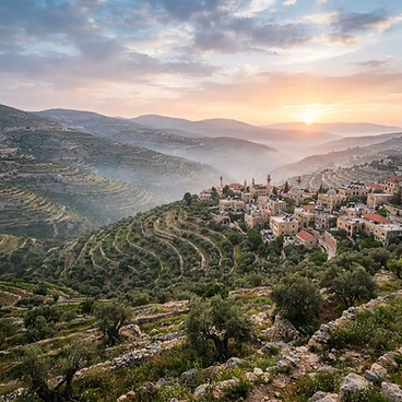 The limestone highlands of Ramallah at dawn