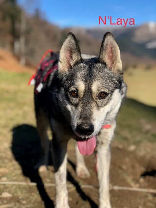 N'Laya