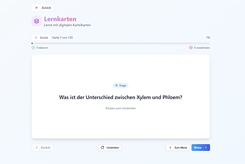 Vorschau SVEN – Ansicht 4