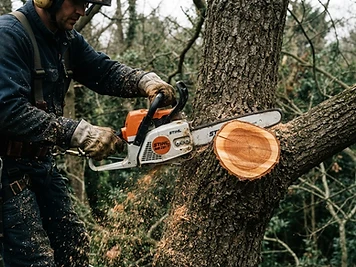 Élagueur réalisant un élagage d'arbre à Dole dans le Jura avec une coupe propre