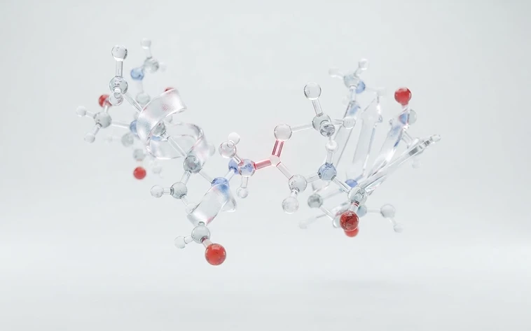 Molecular visualization of peptide bonds and amino acid structure — Peptide Hub Biotech World Wide scientific knowledge center