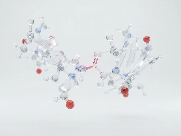 Molecular structure of peptide bonds and amino acids — Peptide Hub Biotech World Wide scientific research