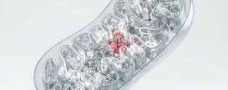 Metabolic & Endocrine Signaling Reagents — peptide research category visualization