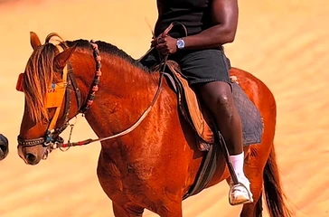 Balade à cheval