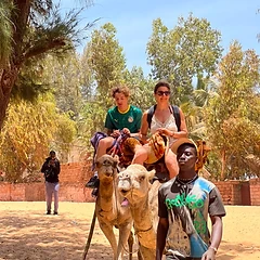Touristes sur dromadaires