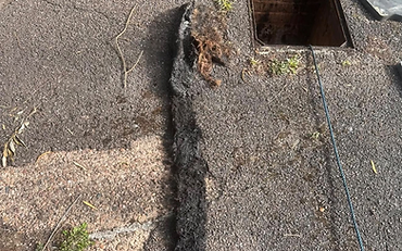 Root Cutting — OLEX Drainage, Devon & Cornwall