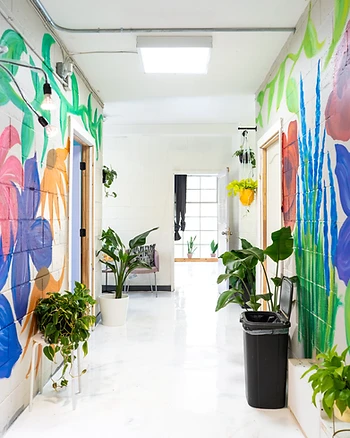 Professional cyc wall inside The Plant Apothecary photo studio in Atlanta