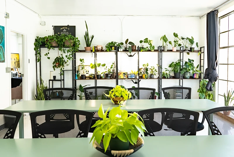 A gathering inside The Plant Apothecary, a small event space in Atlanta