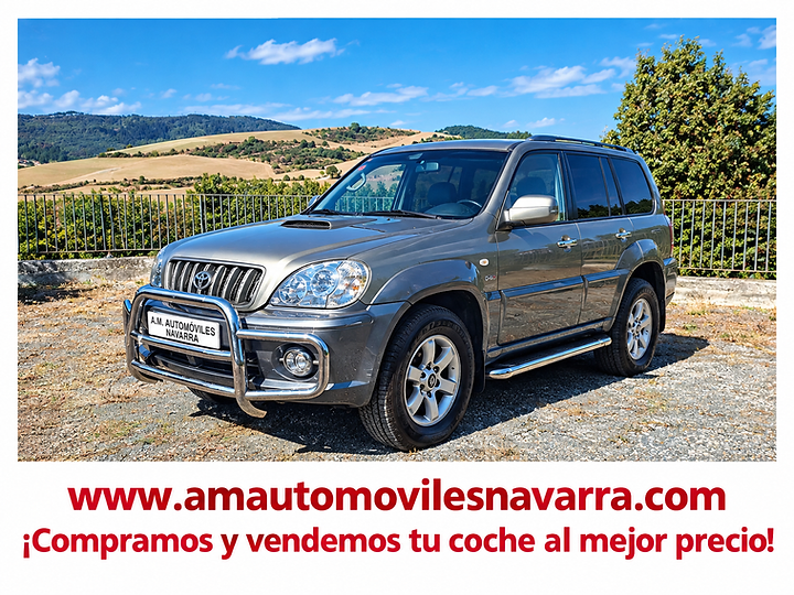 Hyundai TERRACAN — foto 1