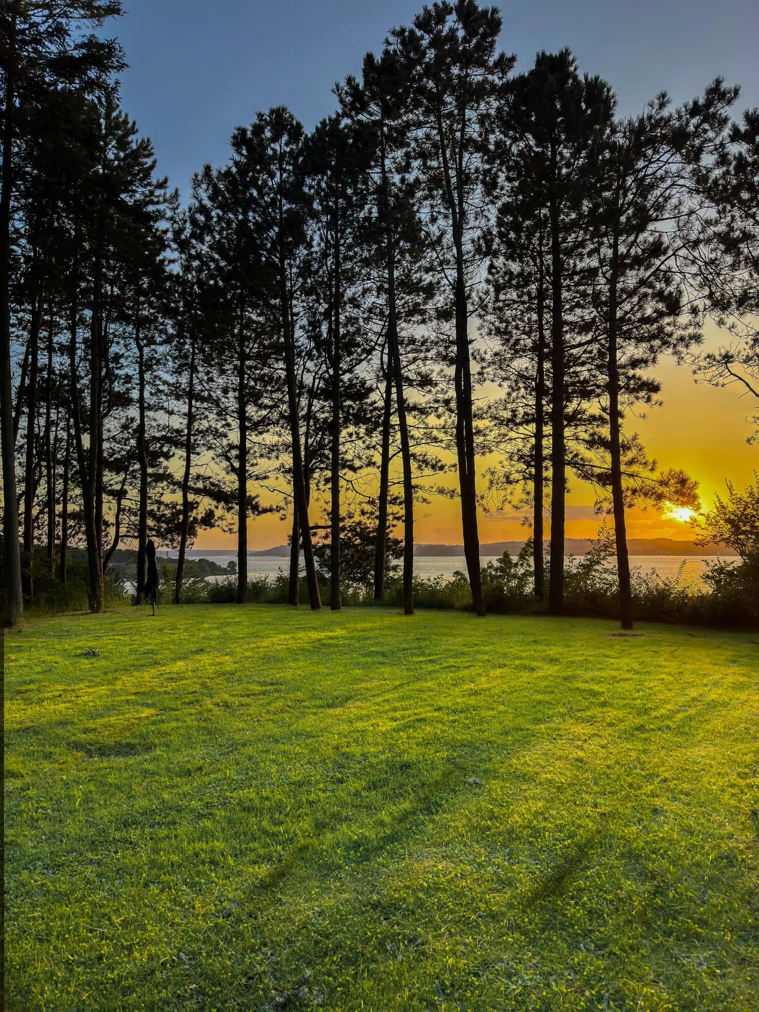 Engen ved Jomfrubakken ved solnedgang