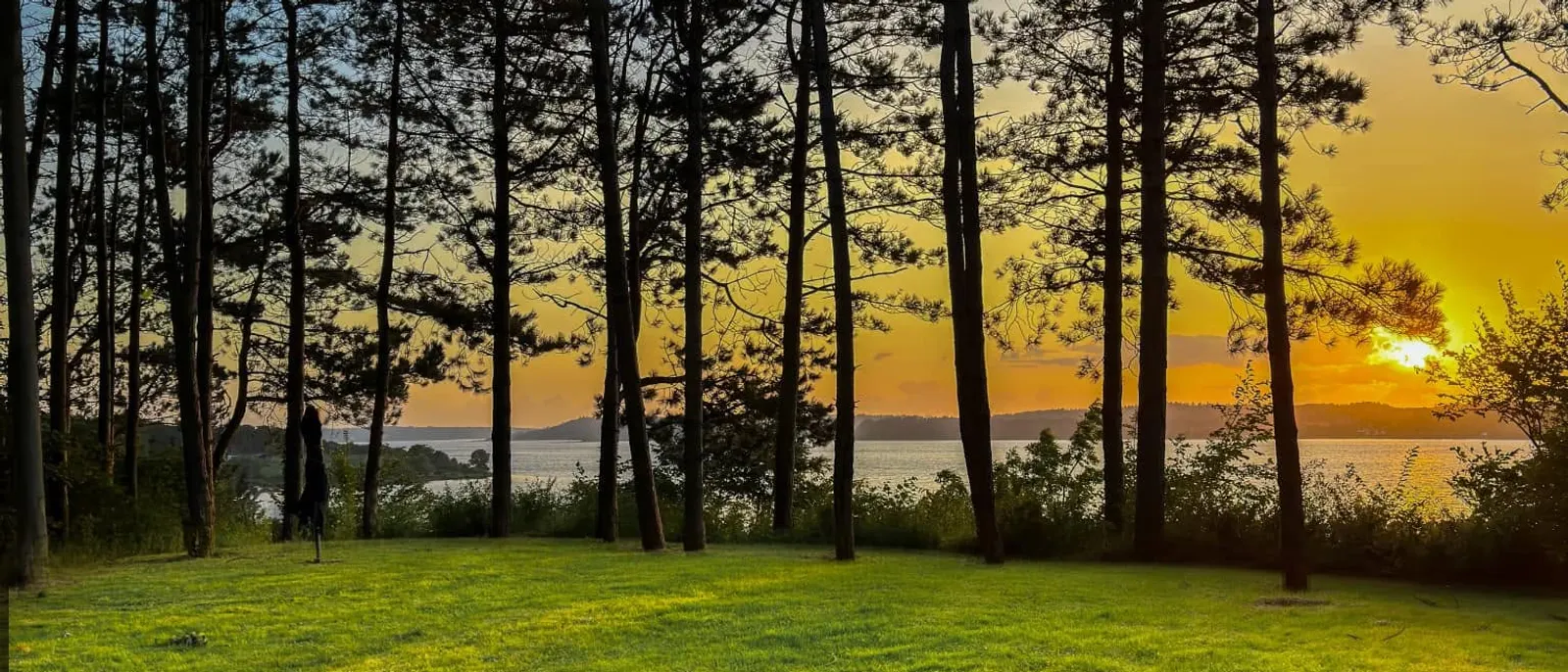 Engen ved Jomfrubakken ved solnedgang