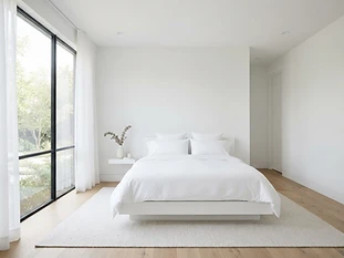 Bed Bug Eradication