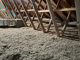 Attic Inspection