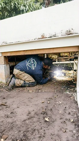 Crawl-space inspection — mapping entry points beneath the structure.