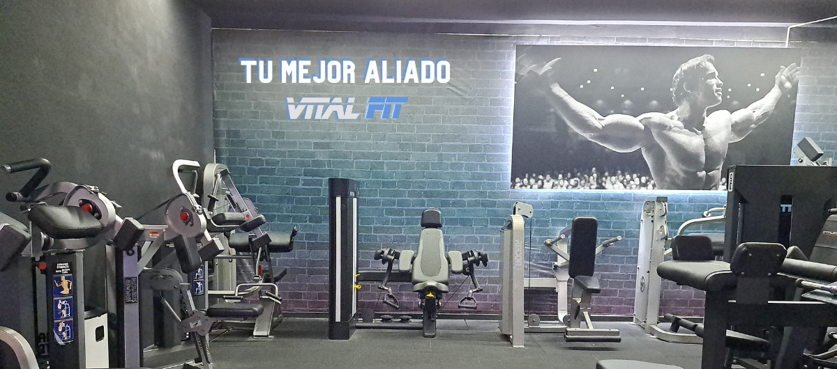 VitalFit — interior del gimnasio