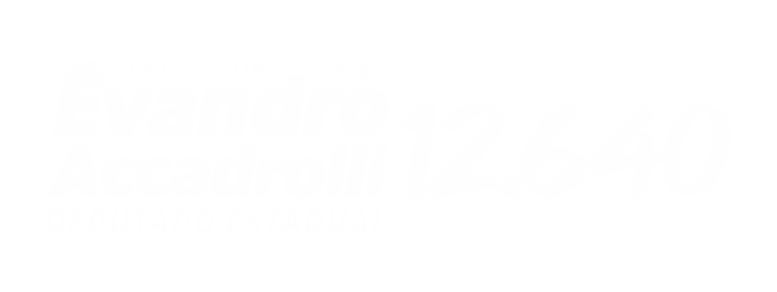 Professor Evandro Accadrolli — Deputado Estadual