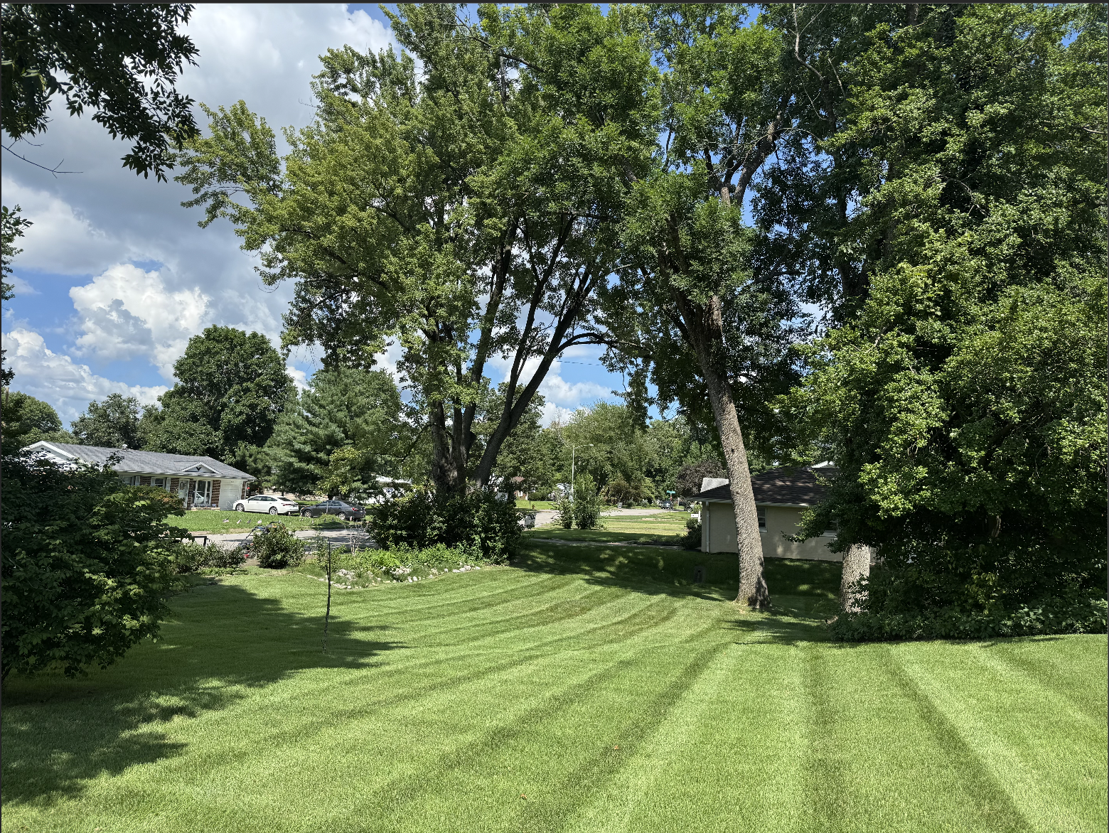 Backyard lawn with diagonal mowing stripes