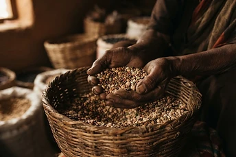 Hands cradling dried grains and pulses over a woven basket