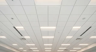 Completed suspended ceiling system