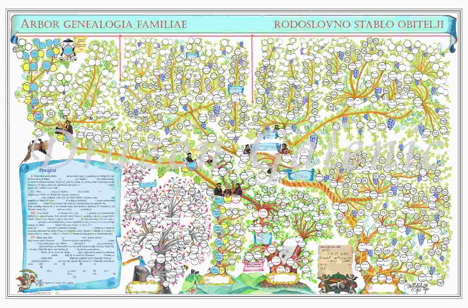 Višestruko rodoslovno stablo (od četiri stabla)