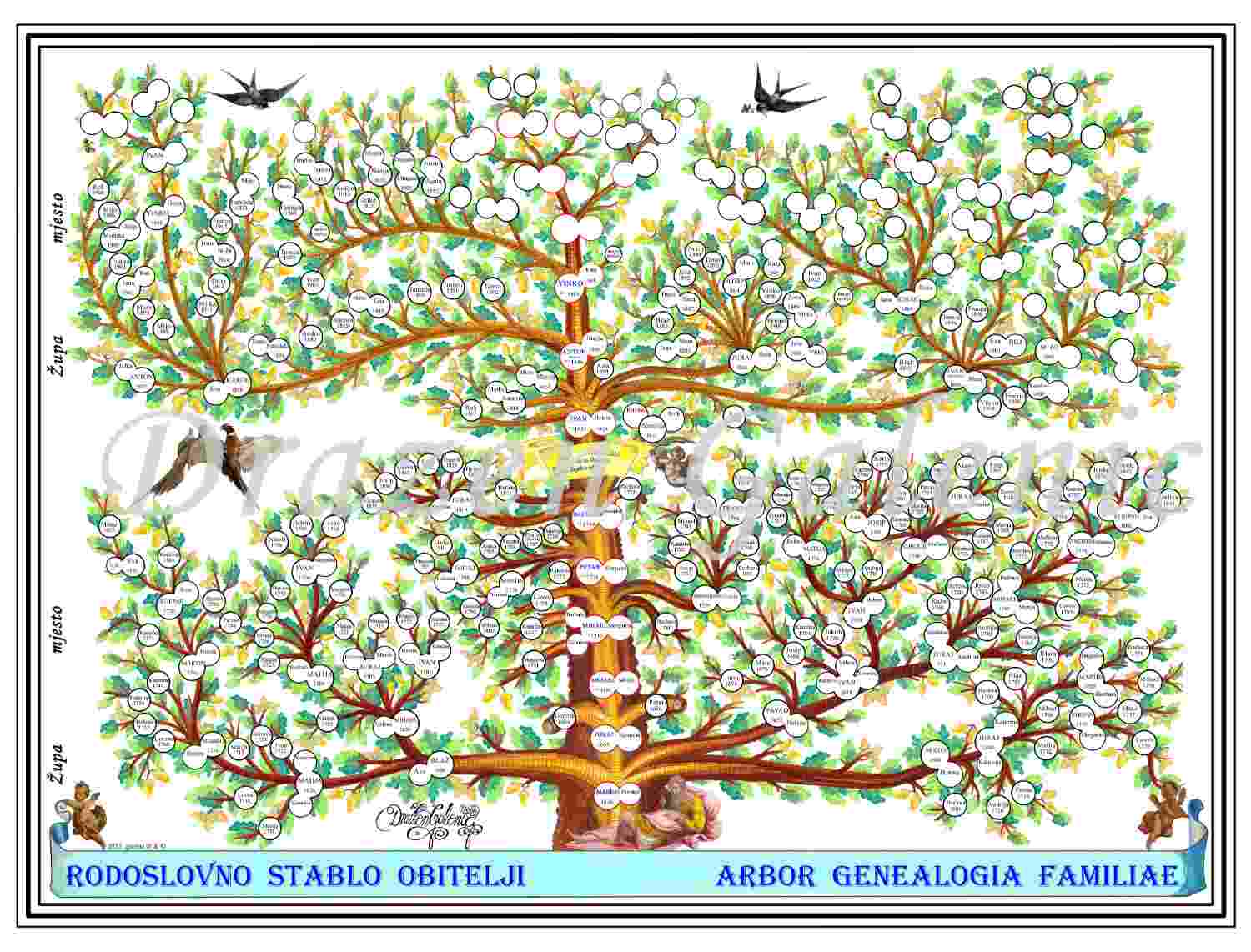 Primjer rodoslovnog stabla 4 Podravina