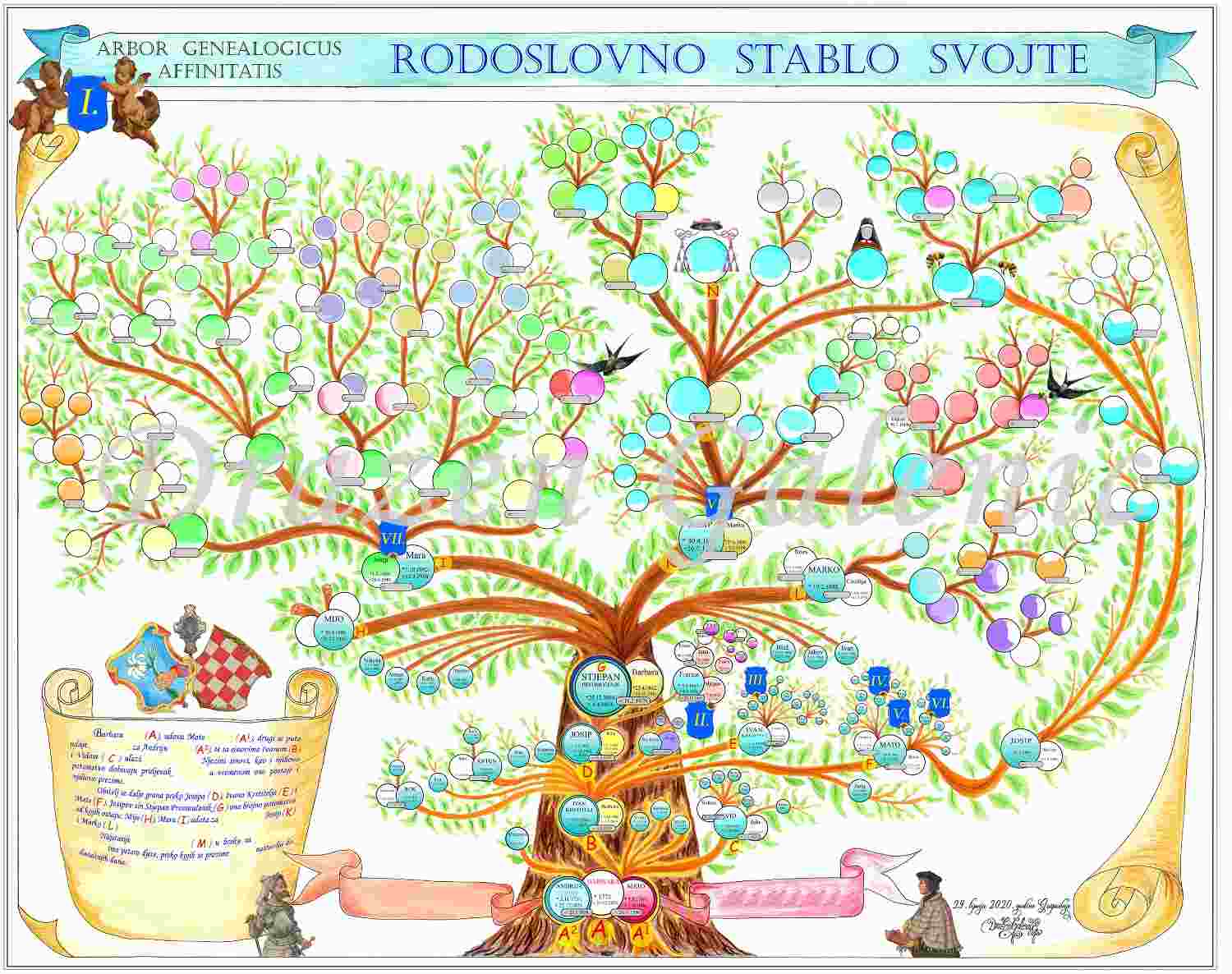 Rodoslovno stablo svojte