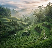 7 Night Bali Family Escape — image 3