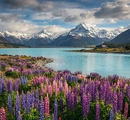 New Zealand South Island Adventure — image 2