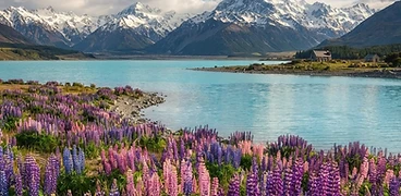 New Zealand