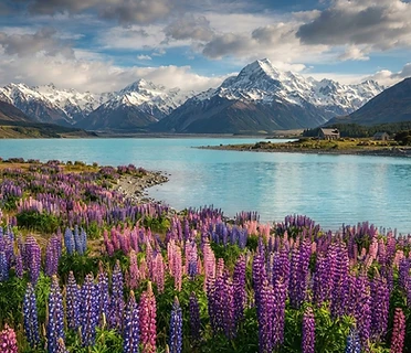 New Zealand South Island Adventure — main image