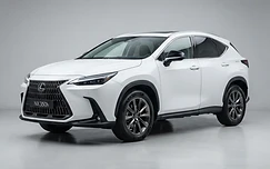 Suzuki Bolan